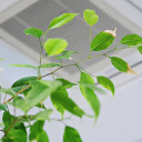 Indoor air quality control